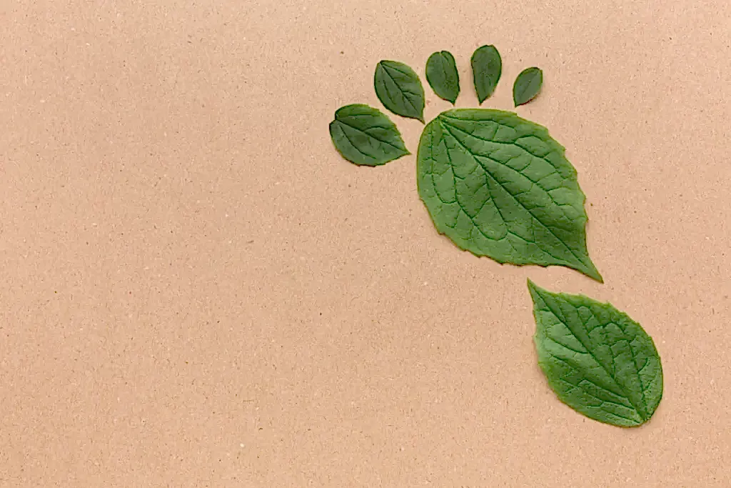 Karbon ayak izi nedir?