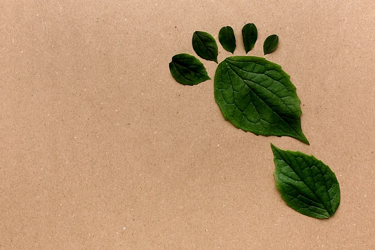 Karbon ayak izi nedir?